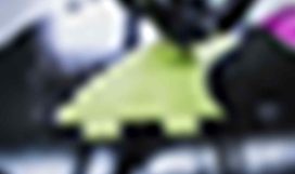 masterstudy_placeholder