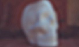 masterstudy_placeholder